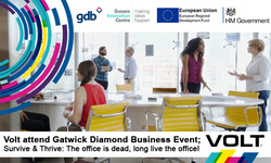 Gatwick Diamond Event   Survive And Thrive